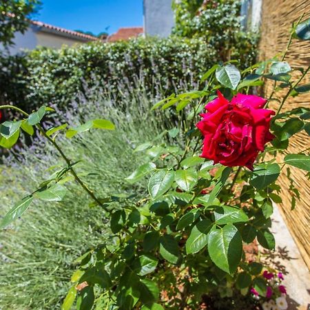 Apartment Rosse Poreč Kültér fotó