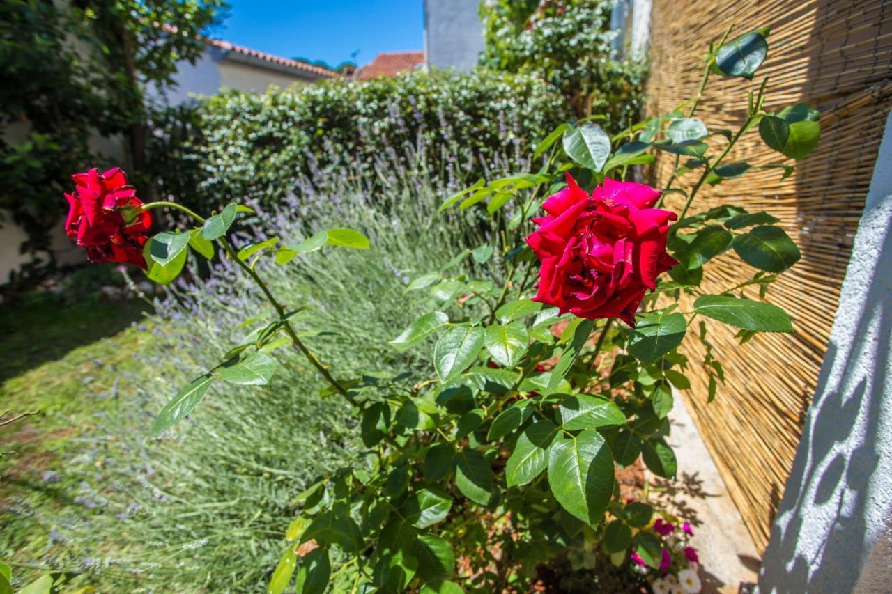 Apartment Rosse Poreč Kültér fotó